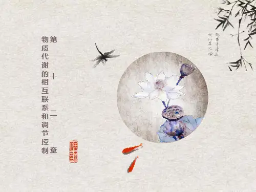 十四物质代谢的相互联系和调节控制