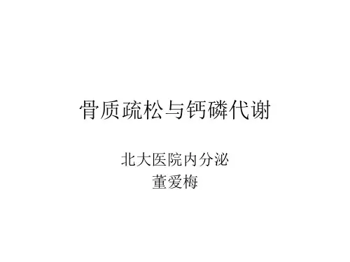 骨质疏松与钙磷代谢-肾脏-2012