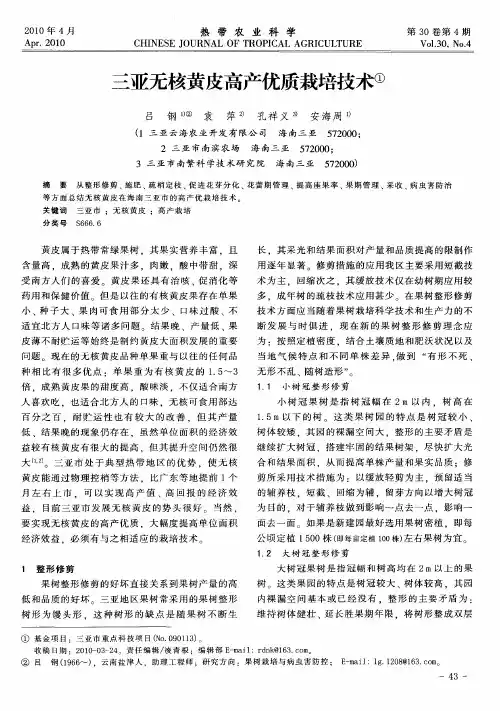 三亚无核黄皮高产优质栽培技术