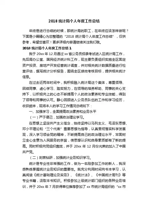 2018统计局个人年度工作总结
