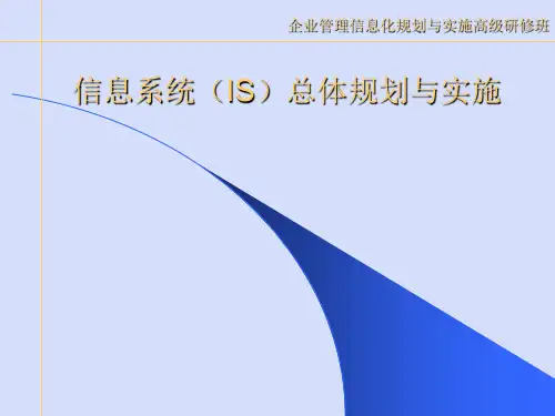 信息系统(IS)总体规划与实施