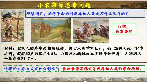 原始农业与史前社会ppt课件