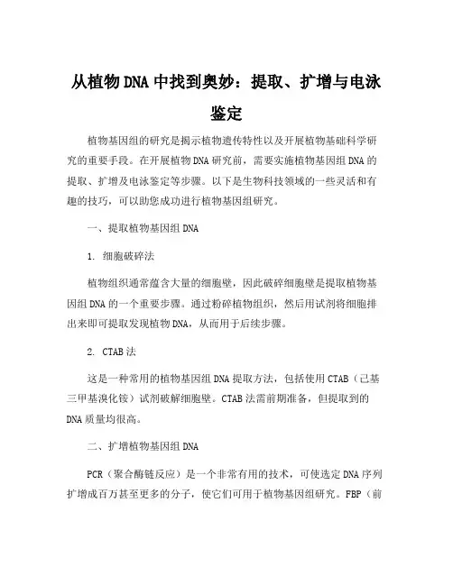 植物基因组dna的提取、扩增及电泳鉴定