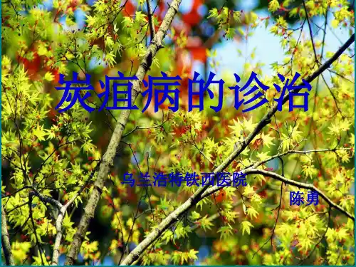 炭疽病的诊治PPT课件