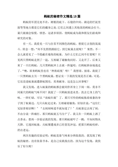 蚂蚁的秘密作文精选15篇范文