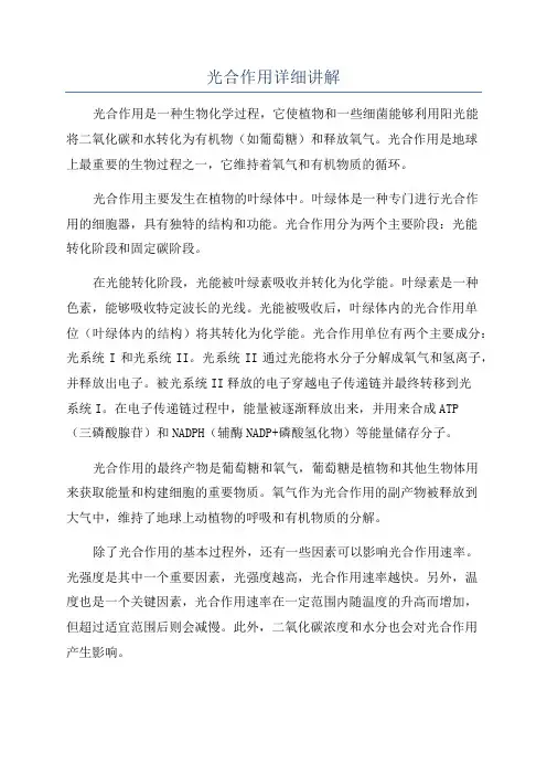 光合作用详细讲解