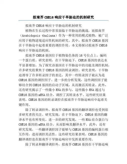 拟南芥CHR16响应干旱胁迫的机制研究