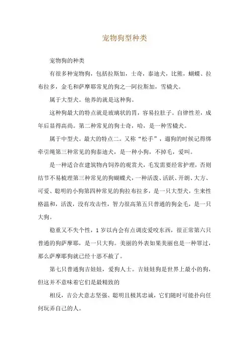 宠物狗型种类
