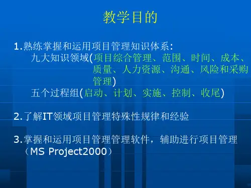 IT项目管理概述精华课件