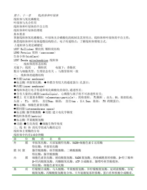 第十、十一章_线粒体和叶绿体