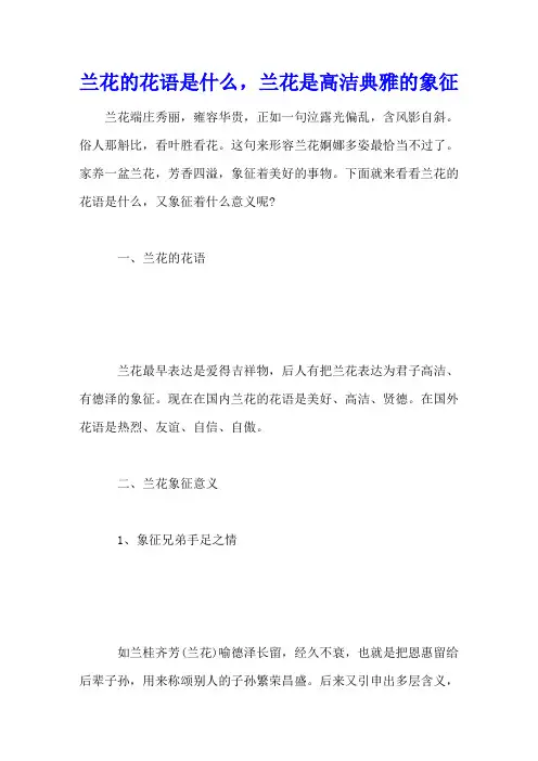 兰花的花语是什么,兰花是高洁典雅的象征