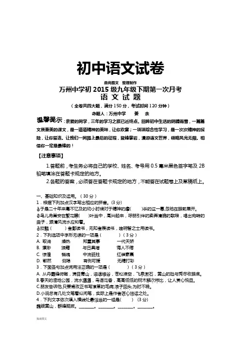 人教版九年级下册语文第一次月考 (3)