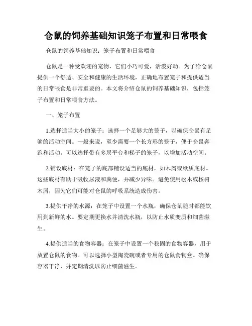 仓鼠的饲养基础知识笼子布置和日常喂食