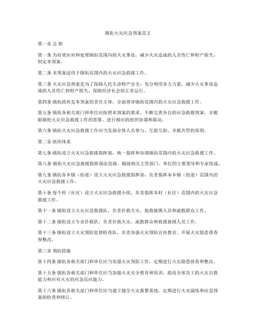 镇街火灾应急预案范文