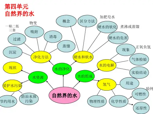 化学总复习(4-6单元)思维导图 - (1)