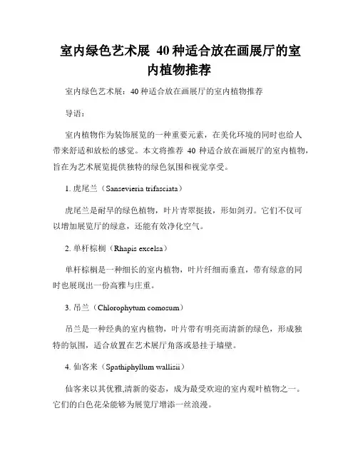  室内绿色艺术展  40种适合放在画展厅的室内植物推荐