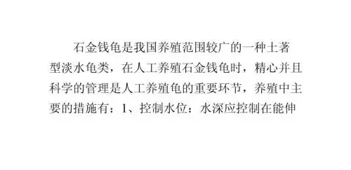 石金钱龟养殖简介及常识