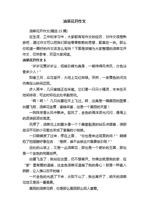 油菜花开作文