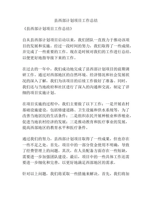 县西部计划项目工作总结