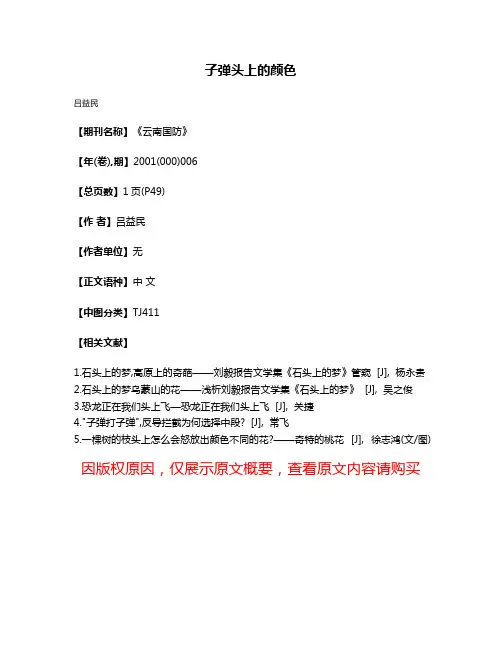 子弹头上的颜色
