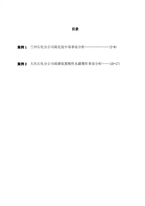 化工安全技术案例分析  化工工艺