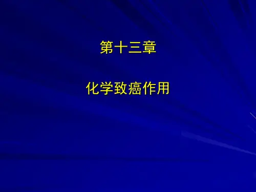 化学致癌作用.ppt