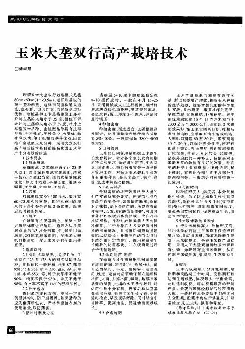 玉米大垄双行高产栽培技术