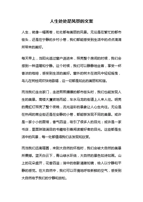 人生处处是风景的文案