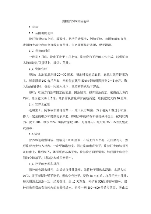 侧柏营养钵育苗造林