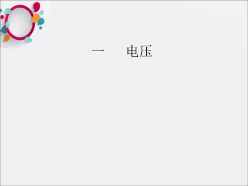 《物理电压》PPT课件
