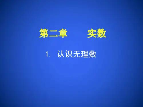 北师大版八年级数学上册课件 第2章 第1节 认识无理数(共32张PPT)