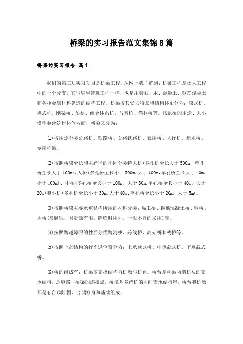 桥梁的实习报告范文集锦8篇