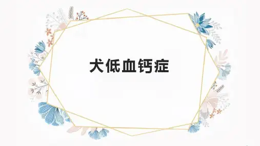 宠物疾病防治技术：犬低血钙症