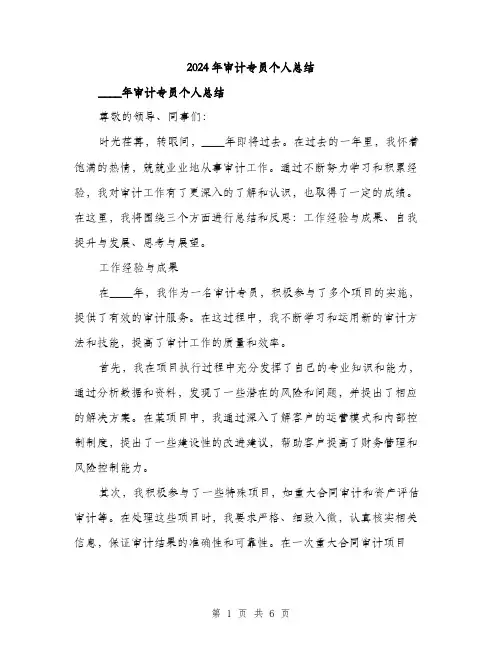 2024年审计专员个人总结(2篇)