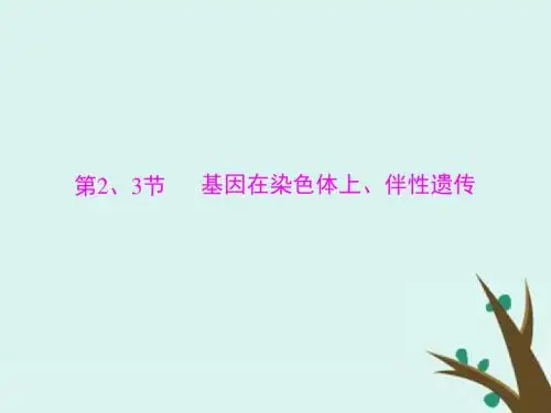 高考生物总复习课件必修2 第2章 第2、3节 基因在染色体上、伴性遗传
