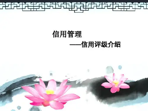 信用管理ppt(信用评级介绍)