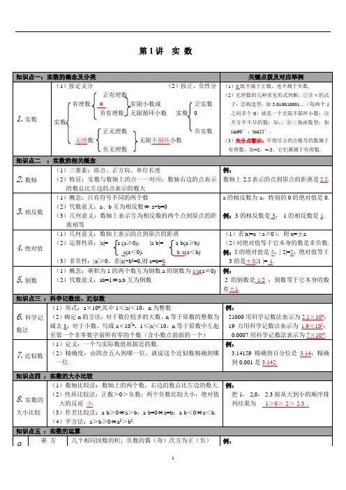 中考数学知识点梳理：第1讲-实数