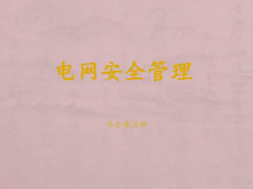 电网安全管理 ppt课件