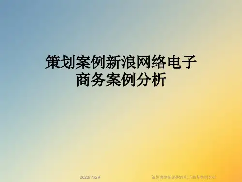 策划案例新浪网络电子商务案例分析