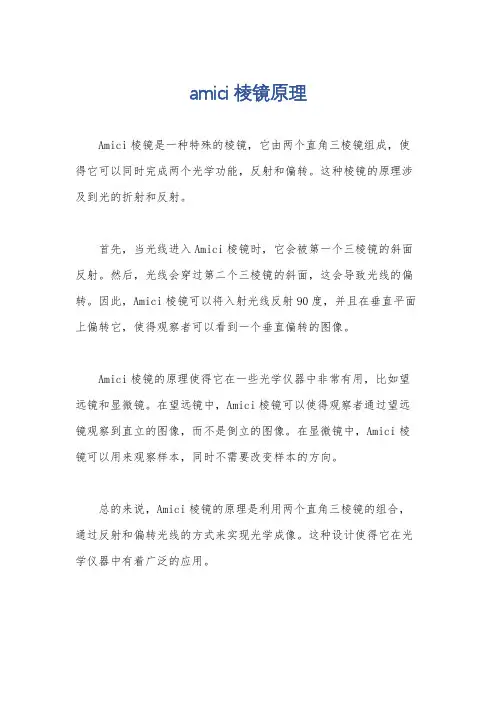 amici棱镜原理