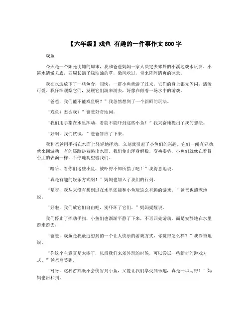 【六年级】戏鱼 有趣的一件事作文800字