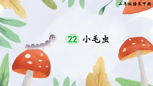 部编版二年级语文下册第22课《小毛虫》优质课件【最新】
