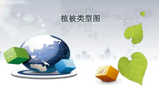 植被类型PPT