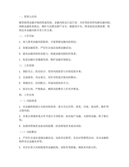 金融风险专项工作方案