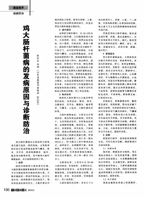 鸡大肠杆菌病的发病原因与诊断防治