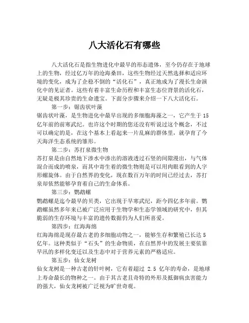 八大活化石有哪些