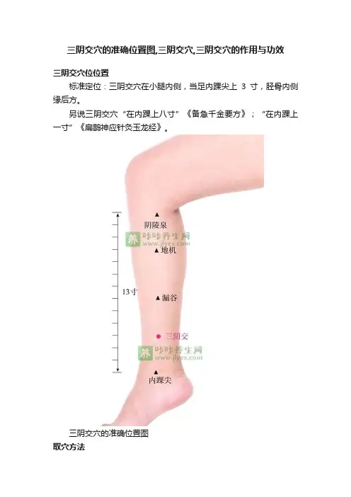 三阴交穴的准确位置图,三阴交穴,三阴交穴的作用与功效
