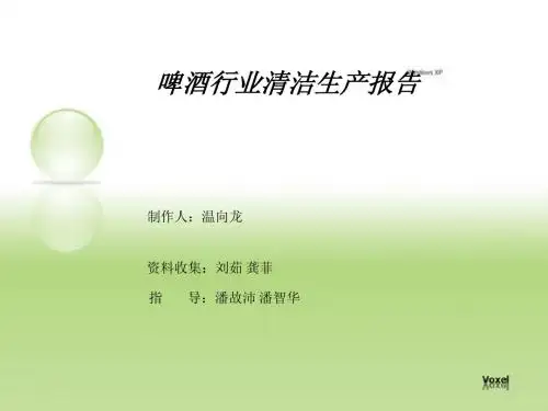 啤酒行业清洁生产报告