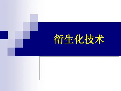 六-衍生化技术