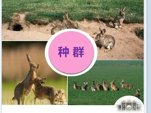 人教版生物必修三《种群的特征》PPT优质课件(共23张)